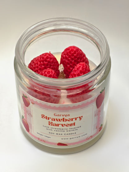 Strawberry Harvest