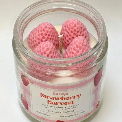 Strawberry Harvest